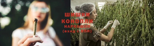 прущие крисы Зеленодольск