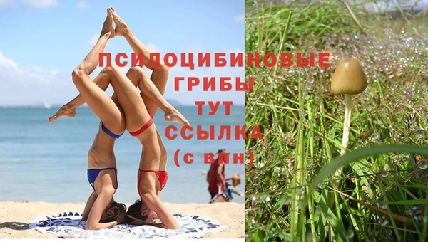прущая мука Зеленокумск